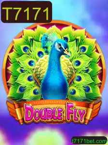 Descubra o Mundo Fascinante de DoubleFly: O Jogo do Momento
